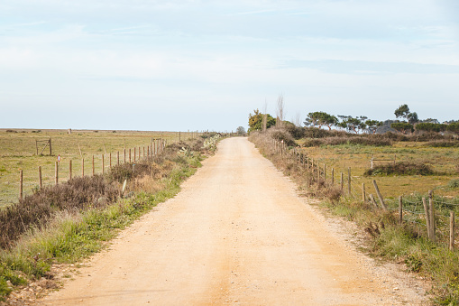 Deambulando por un camino seco de grava cerca de Zambujeira do Mar, región de Odemira, al oeste de Portugal. Deambulando por el sendero de los pescadores, Rota Vicentina photo