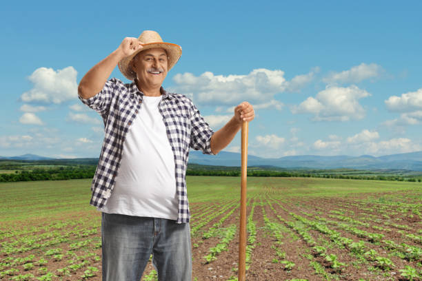 istock Smiling mature farmer posing on a field and greeting with his hat 1488336949