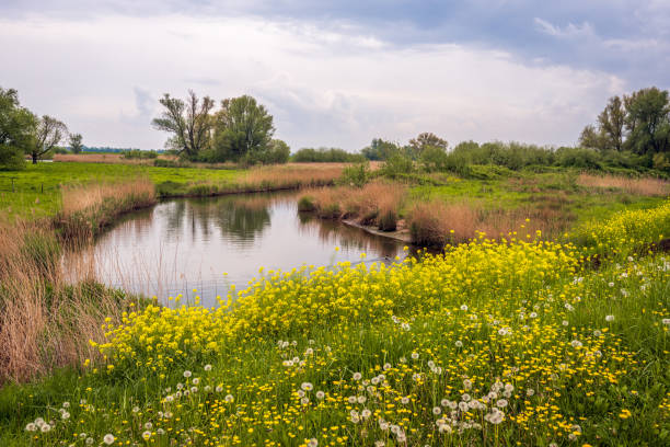 istock Colorful landscape in spring season 1488341096
