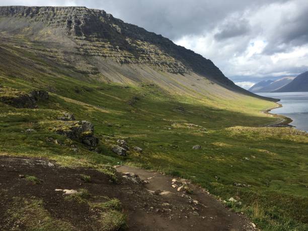 widok na zielone i szare góry, w fiordzie islandii - nordic countries europe island fjord zdjęcia i obrazy z banku zdjęć