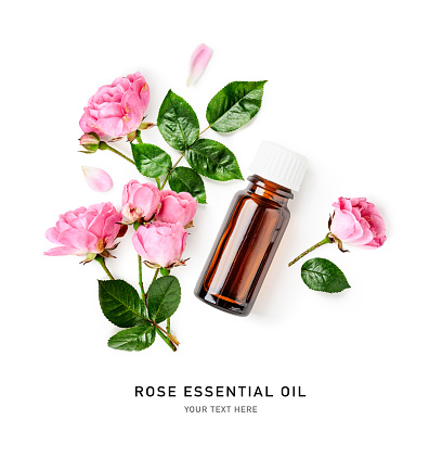 Rose essential oil in bottle, fresh pink flowers and leaves isolated on white background. Creative layout. Top view, flat lay. Alternative medicine concept. Design element