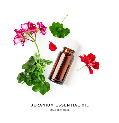 Geranium essential oil in bottle, fresh pelargonium flowers and leaves isolated on white background. Creative layout. Top view, flat lay. Alternative medicine concept. Design element