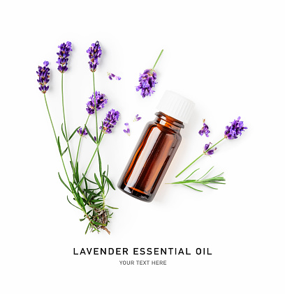 Lavender essential oil in bottle, fresh flowers and leaves isolated on white background. Creative layout. Top view, flat lay. Alternative medicine concept. Design element