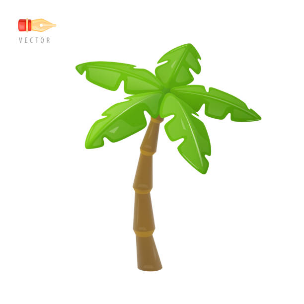 椰子。カラフルな熱帯のヤシの木の看板。白い背景に夏のオブジェクト。リアルな漫画の3dアイコン。絵文字デザインのクリップアート。絵文字アイコン。3dベクトル - coconut palm tree点のイラスト素材／クリップアート素材／マンガ素材／アイコン素材