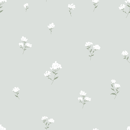 Wildflower bedstraw galium small white flower seamless pattern flat. Meadow herb floral fashion fabric textile natural skin care cosmetic wallpaper cover wrapping print green olive pastel background