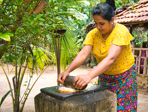 A woman makes coconut sambol using a traditional stone grinder and grinding block outdoors in a village near Dambulla in central Sri Lanka.