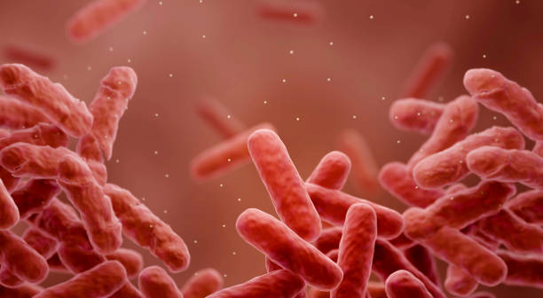 bacterias resistentes a los medicamentos - clostridium fotografías e imágenes de stock