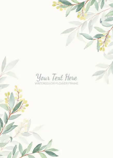 Vector illustration of Manual painted of olive leaves watercolor as background frame.