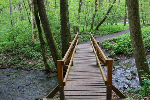 istock Wooden bridge across a stream in beutiful forest in spring 1488354596
