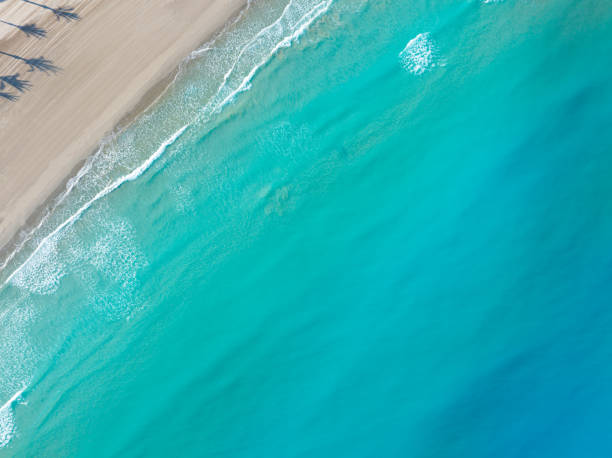 istock Tropical beach turquoise clear water and clear sand aerial drone view 1488355604