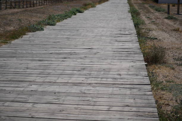 Bridge at Park
