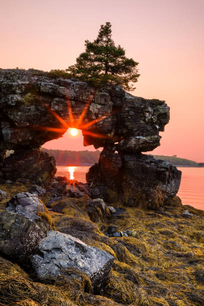 istock MDI Star Point, Bar Harbor Maine 1488357222