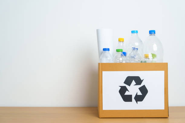 istock Plastic bottle in paper box at home or office. Recycle garbage Sorting. Plastic Free, Ecology, Environmental, pollution, Dispose recycling, waste management and trash Separation concept 1488357789
