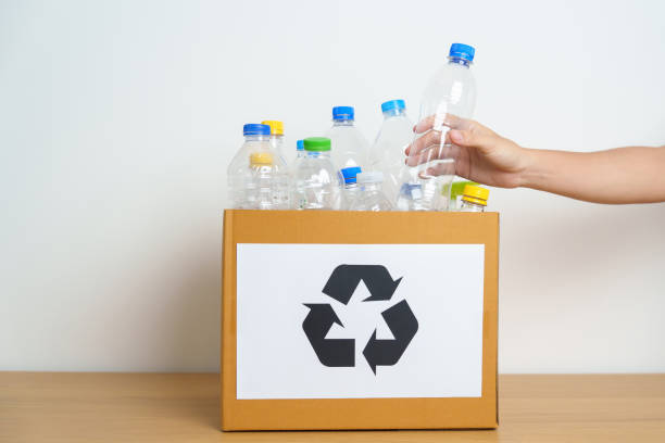 istock Volunteer keep plastic bottle into paper box at home or office. Hand Sorting Recycle garbage. Ecology, Environmental, pollution, Dispose recycling, waste management and trash Separation concept 1488357804