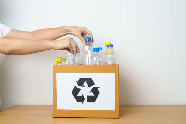 istock Volunteer keep plastic bottle into paper box at home or office. Hand Sorting Recycle garbage. Ecology, Environmental, pollution, Dispose recycling, waste management and trash Separation concept 1488357817