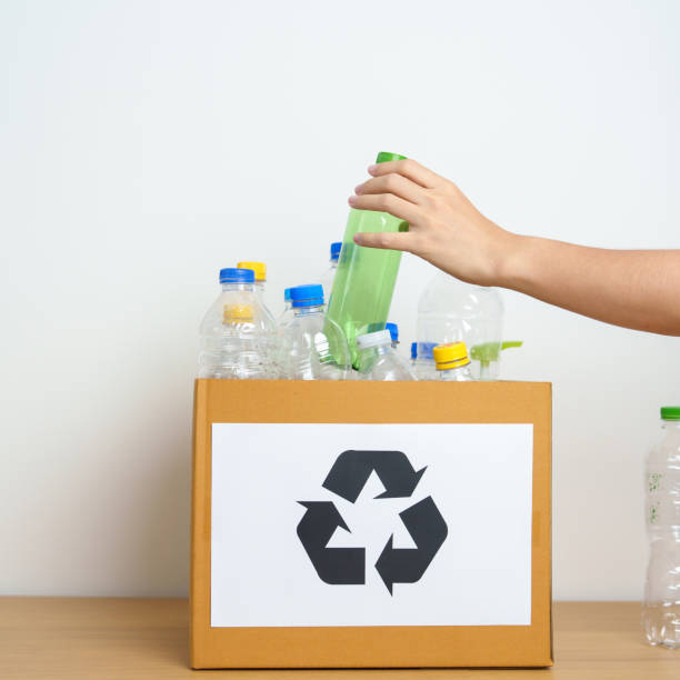 istock Volunteer keep plastic bottle into paper box at home or office. Hand Sorting Recycle garbage. Ecology, Environmental, pollution, Dispose recycling, waste management and trash Separation concept 1488357825