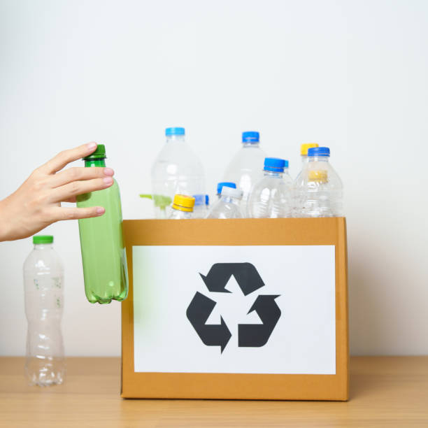 istock Volunteer keep plastic bottle into paper box at home or office. Hand Sorting Recycle garbage. Ecology, Environmental, pollution, Dispose recycling, waste management and trash Separation concept 1488357834