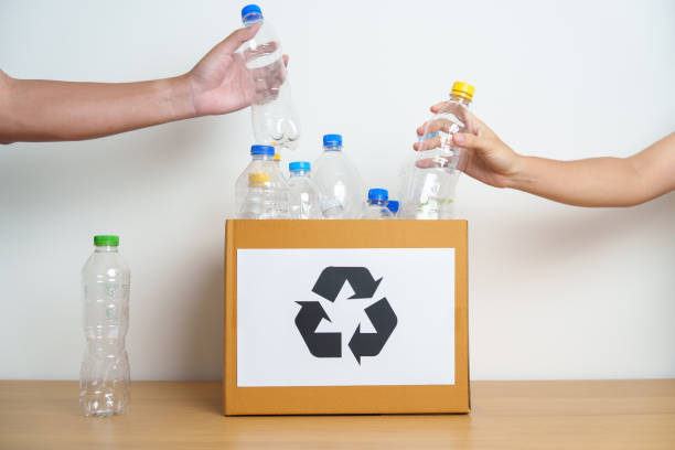 istock Volunteer keep plastic bottle into paper box at home or office. Hand Sorting Recycle garbage. Ecology, Environmental, pollution, Dispose recycling, waste management and trash Separation concept 1488357846