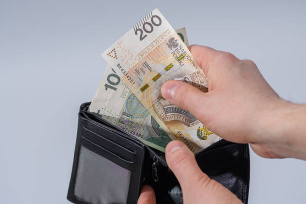 istock Polish banknotes hidden in the wallet 1488357930