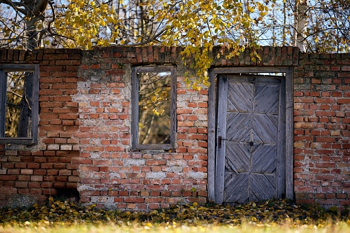 An aged wooden door of an abandoned house surrounded by a colorful array of autumn leaves