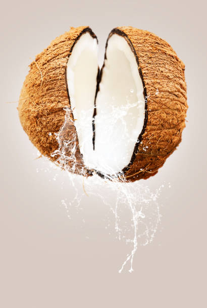 istock Cracked coconut with water splash isolated on white background. Summer tropical concept. 1488364301