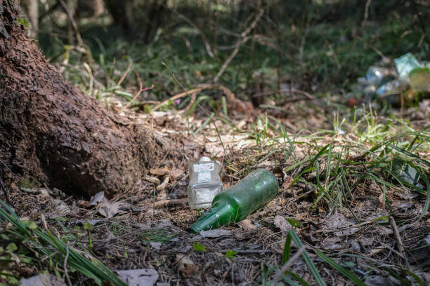 istock Garbage in the forest. Glass bottles under the trees in the forest. Ecological problems 1488365787