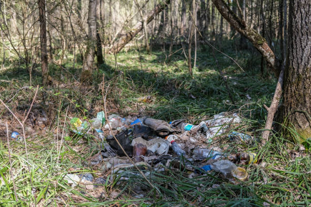 istock Garbage dump in the forest. A pile of rubbish under the trees. Ecological problems 1488365792