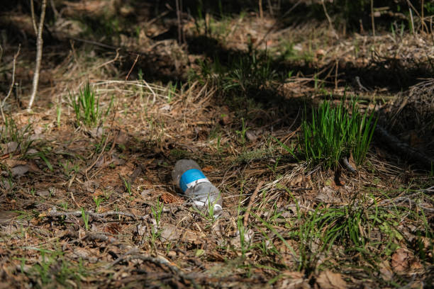 istock Garbage in the forest. Plastic bottle under the trees in the forest. Ecological problems 1488365800