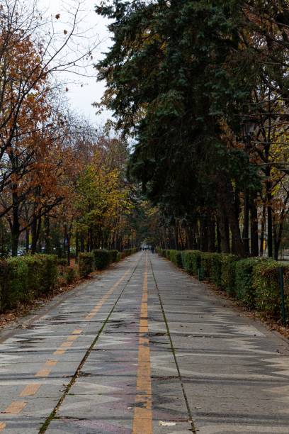 istock Scenic paved pathway lined with lush greenery on both sides, providing a tranquil ambience 1488365997