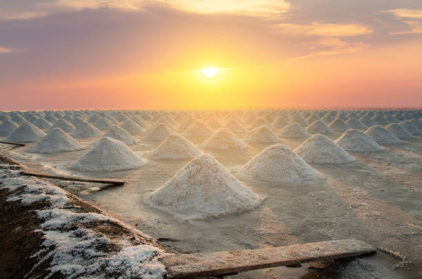 istock sea salt farm 1488369993