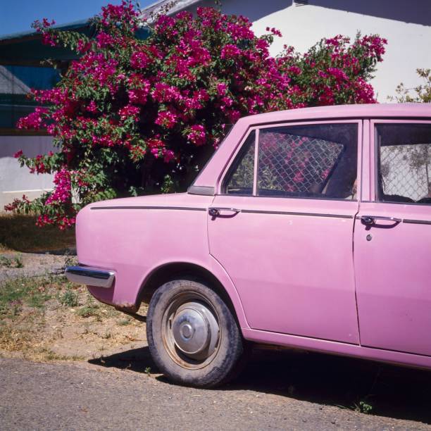 istock Pink car and tree next to house 1488370471