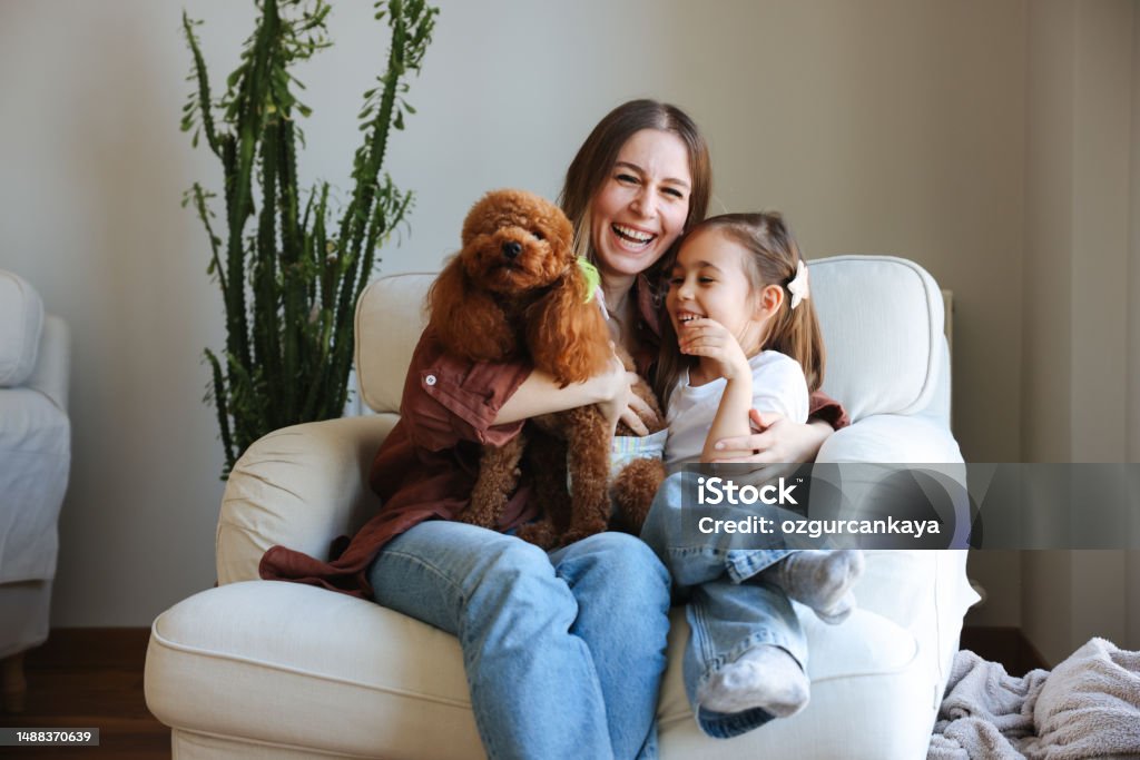 Young woman and her daughter with of apricot puddles meet in the morning in sofa Morning in sofa - A young beautiful woman enjoys a non-working day and plays with her dog in sofa. Sofa sheets. Pets Stock Photo