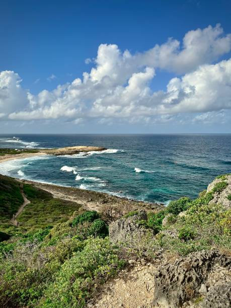 istock French west indies landscape 1488370710