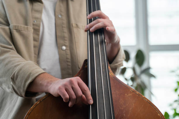 istock Double bass. Hands playing contrabass player musical instrument 1488373892