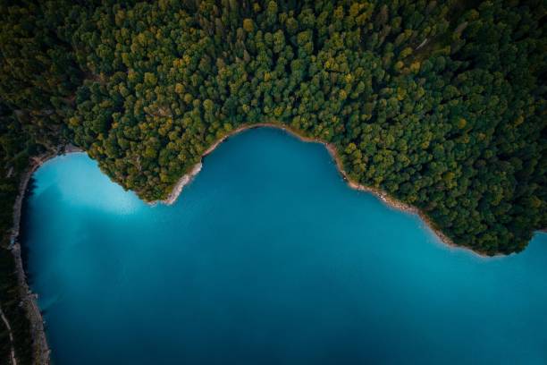 istock Austria Hallstatt forest lake mountain landscape 1488374475