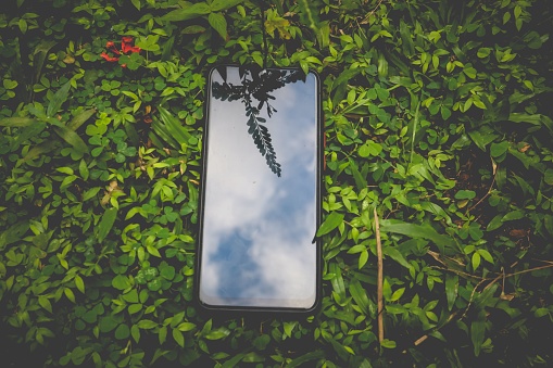 Top view of smartphone on green grass natural background