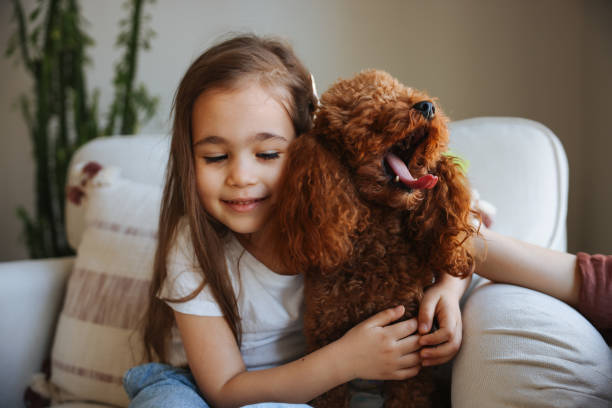 istock Little girl playing with dog on the sofa 1488377525