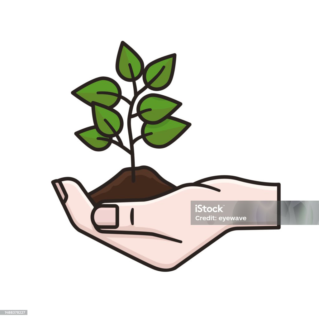 Tree Seedling Vector Hand Holding Tree Seedling Isolated Vector Illustration Stock ...