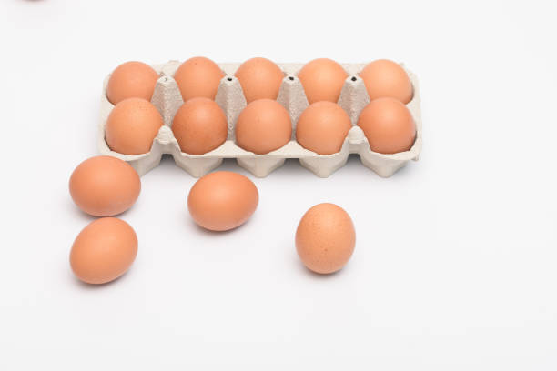 rural chicken eggs against a white background - chicken egg audio imagens e fotografias de stock