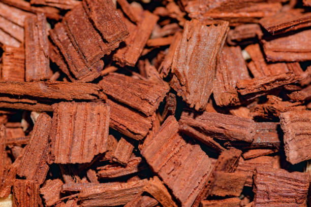 istock Incense sandalwood on close-up 1488378566