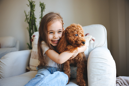 Love between pet and little owner, little and toy poodle cuddling at house