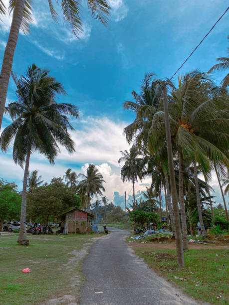 istock Village Road in Batam Indonesia 1488379851