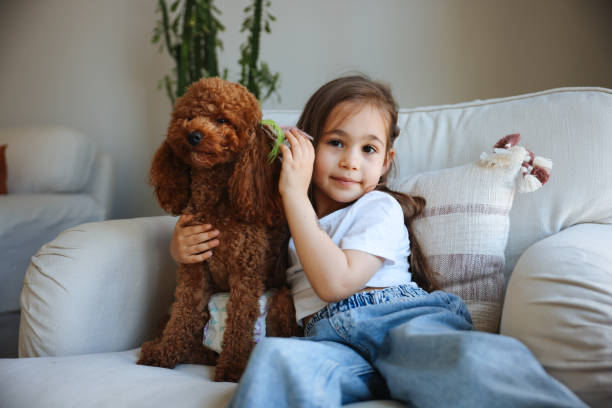 istock Little girl playing with dog on the sofa 1488379947