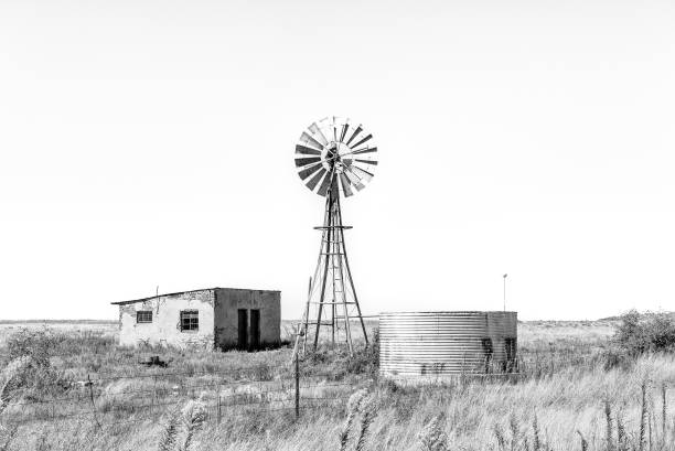 istock Abandoned farm worker house, windmill, dam. Monochrome 1488380855