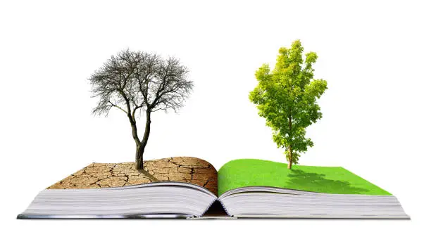 Green Education