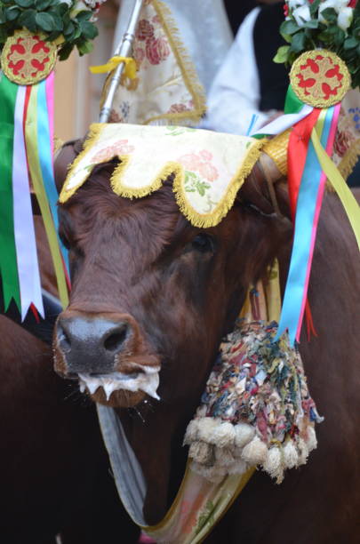 istock Saint Antioco, Sardinia - 04.16.2018: Religious procession of Sant'Antioco 1488381498