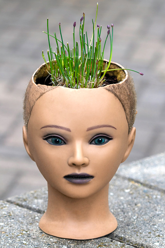 Chives planted in a mannequin head