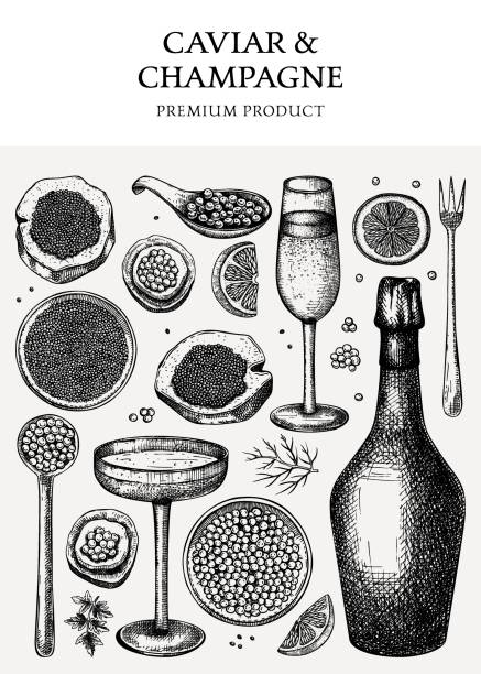 projektowanie wektorów kawioru i szampana - meal whale mammal animal stock illustrations