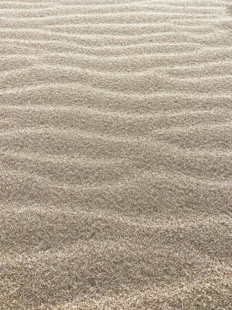 sfondo di sabbia, sfondo della trama della sabbia del modello dell'onda - 16340 foto e immagini stock