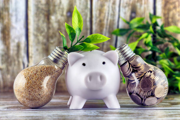 Coins inside the light bulb, plant growing inside the light bulb and piggy bank. Green eco renewable energy concept. Electricity prices, energy saving. - fotografia de stock